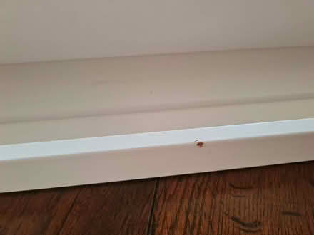 Photo of free Wooden wall-mount shelves (Bradley Stoke BS32) #2