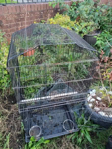 Photo of free Bird cage (Huyton) #1