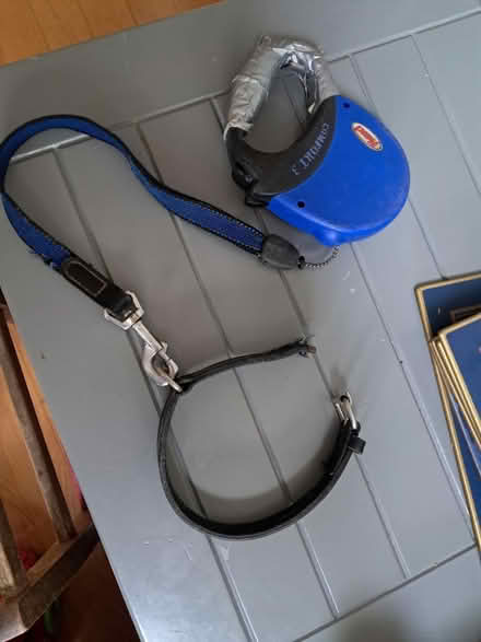 Photo of free Dog collar and lead (firhouse) #2