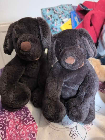 Photo of free 2 brown doggy soft toys (Alperton HA0) #1