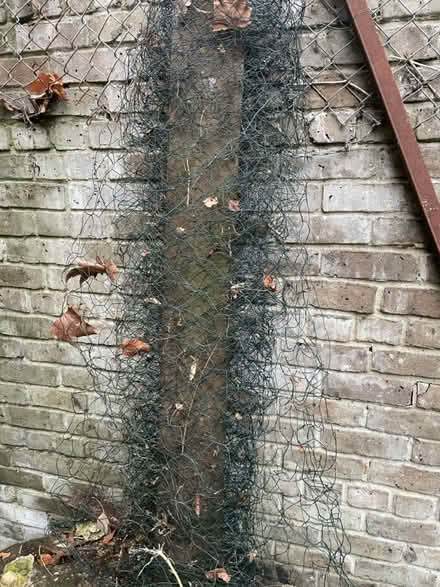 Photo of free Roll of chicken wire (Sydenham SE26) #1