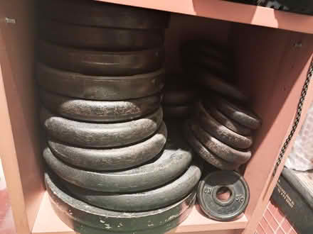 Photo of free Weight plates and dumbells (Wildridings RG12) #1
