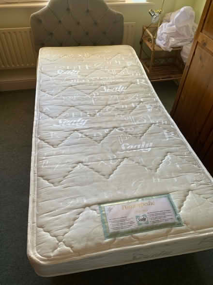 Photo of free Single bed with headboard (Wheathampstead AL4) #1