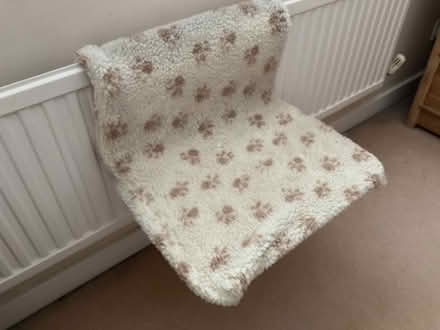Photo of free Cat radiator bed (St. Albans AL1) #1