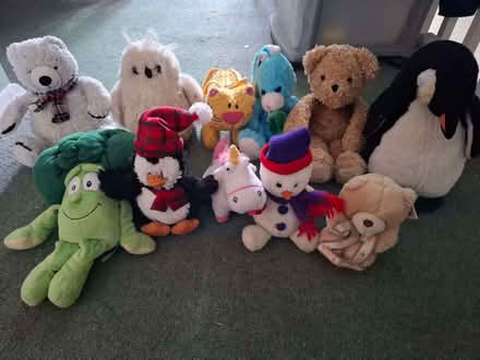 Photo of free Cuddly toys (Emmbrook RG41) #1