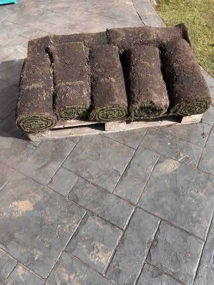 Photo of free Turf (Ormesby TS7) #1