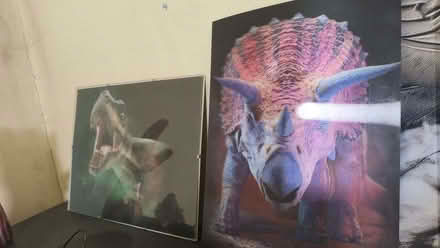 Photo of free 3 x boys bedroom pics 3D dinos, Habitat dog (South Norwood SE25) #1