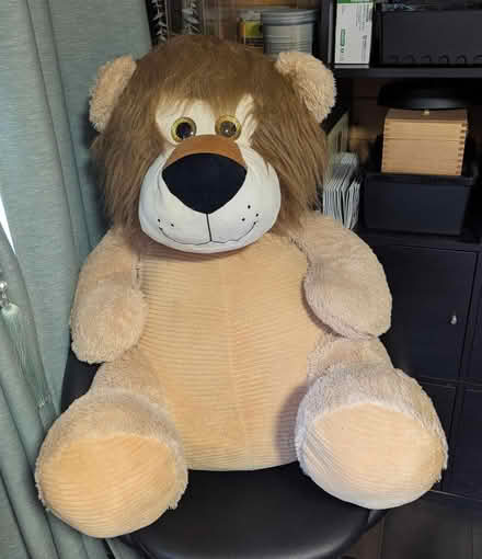 Photo of free Big cuddly lion (Earley RG6) #1