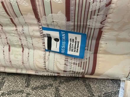 Photo of free Bed (Old Town TN34) #2