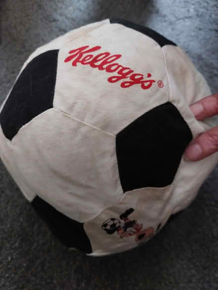 Photo of free Dog stuffed toy /soft soccer ball (St Albans Jersey Farm AL4) #2