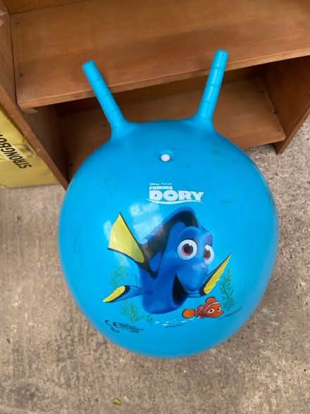Photo of free Dory space hopper (Amersham Common HP7) #1