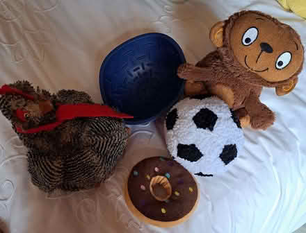 Photo of free Dog toys and bowl (Charminster BH8) #1