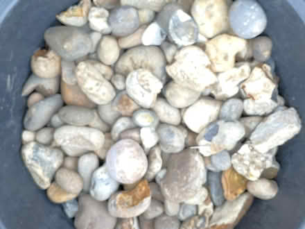 Photo of free Pebbles/stones (New Barnet EN4) #1