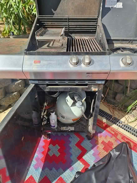 Photo of free BBQ with wok burner (Norman Park) #3
