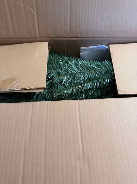 Photo of free christmas tree (Arbourthorne S2) #2