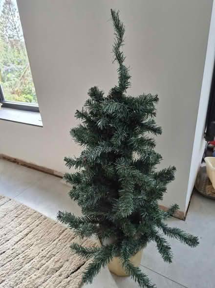Photo of free Christmas tree (Loughborough) #1