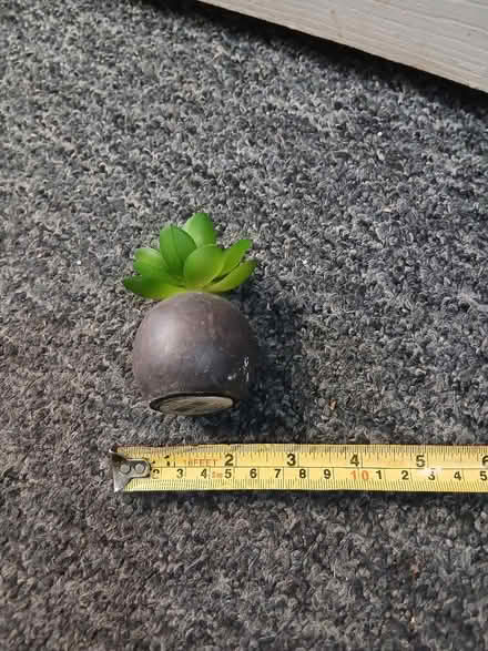 Photo of free Fake plant (Weeke SO22) #2
