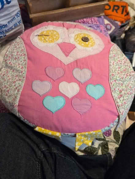 Photo of free Owl cushion. Missing 1.eye. (Alperton HA0) #1
