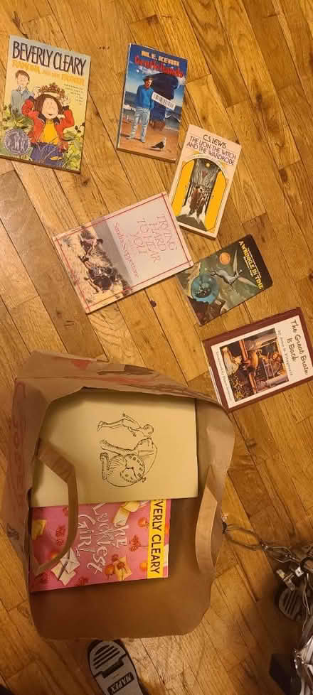 Photo of free Bag of chapter and YA books (South beacon hill) #1