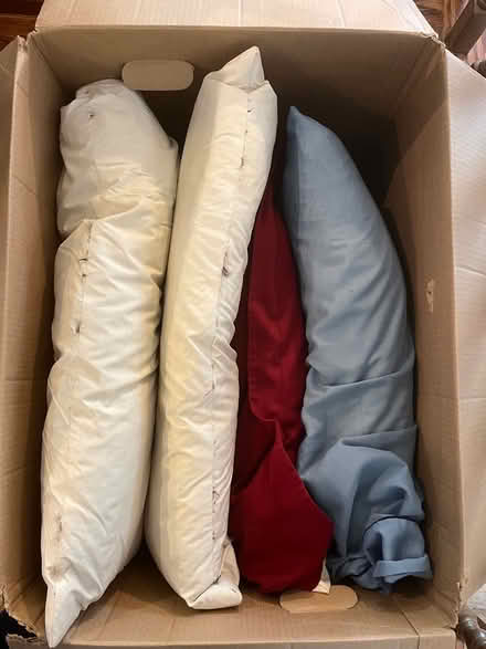 Photo of free Feather pillows (Kanata Lakes/Beaverbrook) #1
