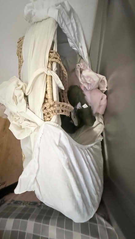 Photo of free Moses basket (Droylsden M11) #1