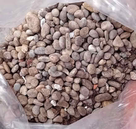 Photo of free Mixed Pebbles (Parkstone BH12) #1