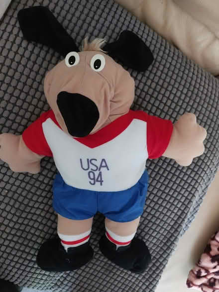 Photo of free Dog stuffed toy /soft soccer ball (St Albans Jersey Farm AL4) #1