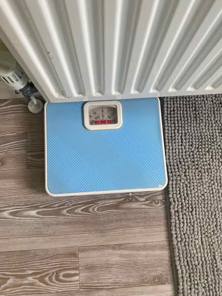 Photo of free scales (Chepstow) #1