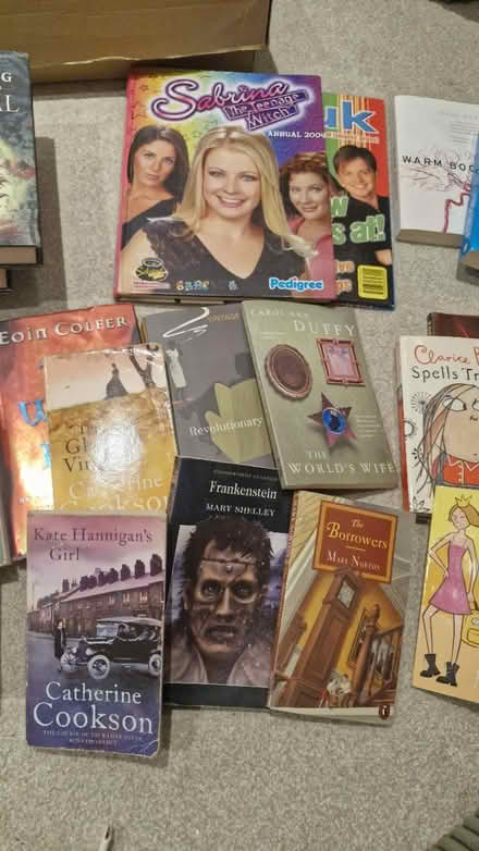 Photo of free 20+ books (Surbiton KT5) #2