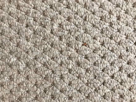 Photo of free Beige carpet (East Chesterton Ward CB4) #3