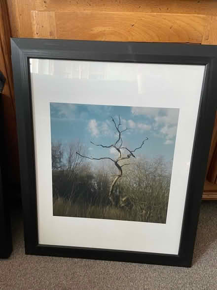 Photo of free Picture frames (Oldfield Park BA2) #3