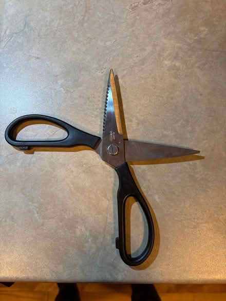 Photo of free IKEA kitchen scissors (Centretown) #1