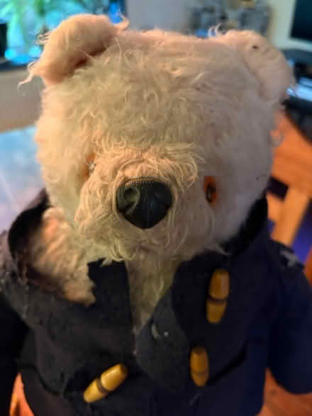 Photo of free Paddington Bear (Reading RG2) #2