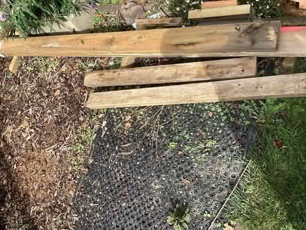 Photo of free Planks of Wood, Shuttering? (selsey PO20) #3