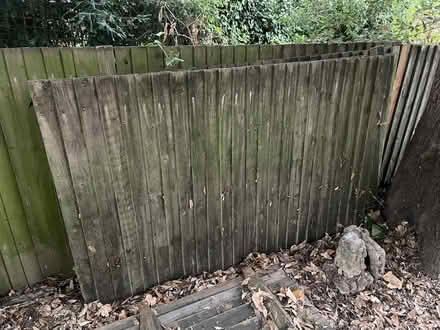 Photo of free Fence panels (Sydenham SE26) #2