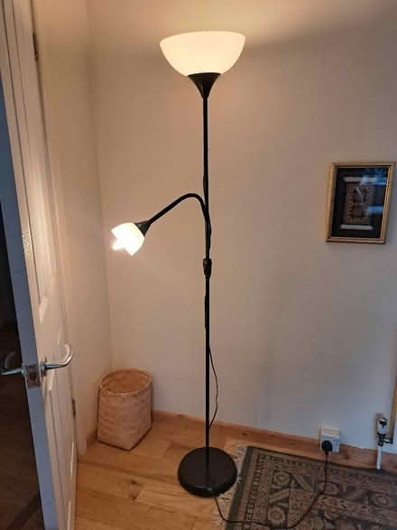 Photo of free Standard lamp (Weston BA1) #1
