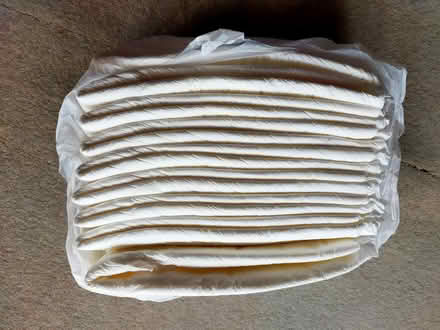 Photo of free Incontinence Pads (Putney SW15) #1