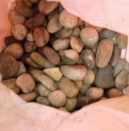 Photo of free Mixed Pebbles (Parkstone BH12) #2