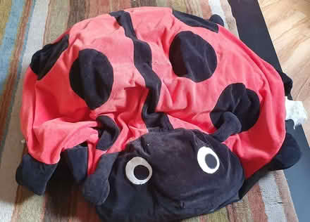 Photo of free Plush ladybird 'bean bag' (Wokingham RG40) #1