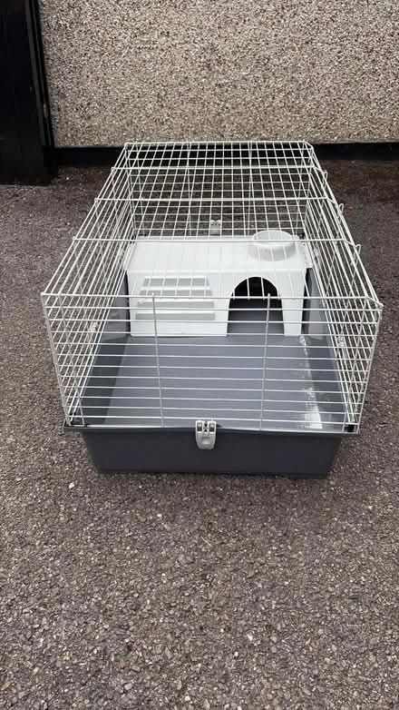 Photo of free Indoor guinea pig hutch (Coxheath ME17) #1