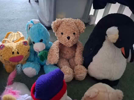 Photo of free Cuddly toys (Emmbrook RG41) #3