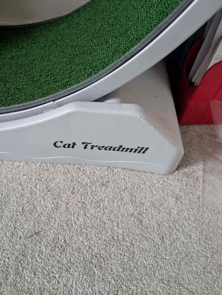Photo of free Cat treadmill (Hertford SG14) #2