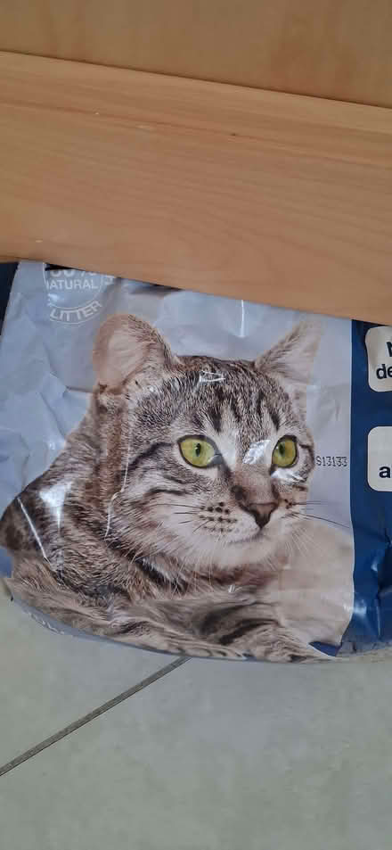Photo of free Cat Litter (Weston-super-Mare BS23) #2