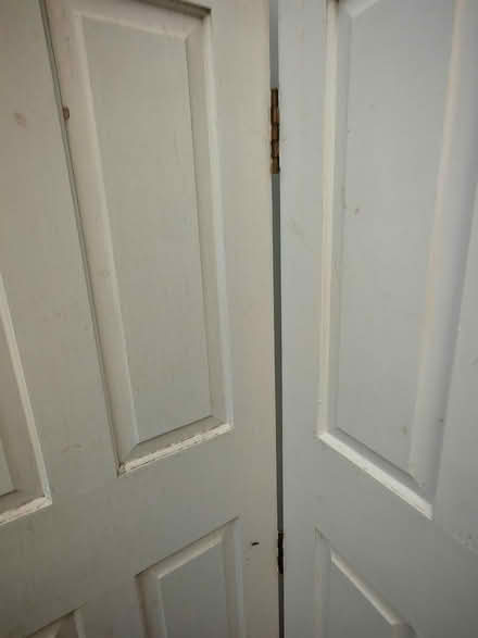 Photo of free Doors x3 (Shooters hill SE18) #3