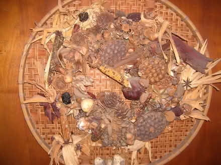 Photo of free natural history & collage stuff (san rafael/santa venetia) #1