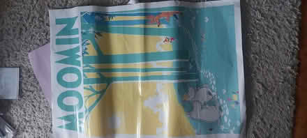 Photo of free Wall Posters (Lower Weston BA1) #2