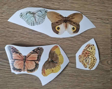 Photo of free Wall decoration stickers - partial set (Woking GU22) #4