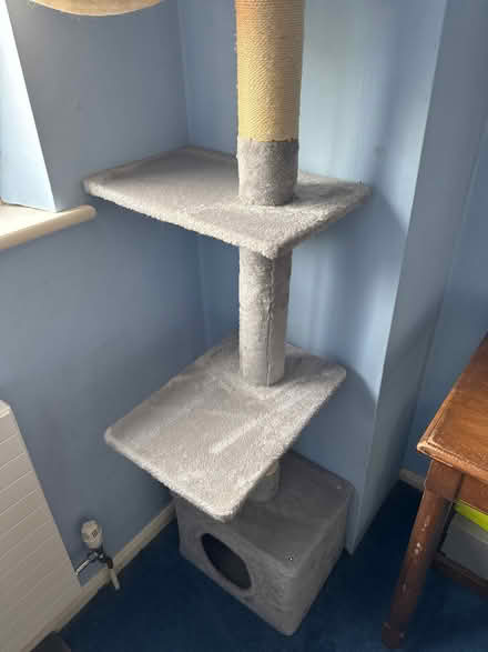 Photo of free Cat tree (Lords Wood ME5) #2