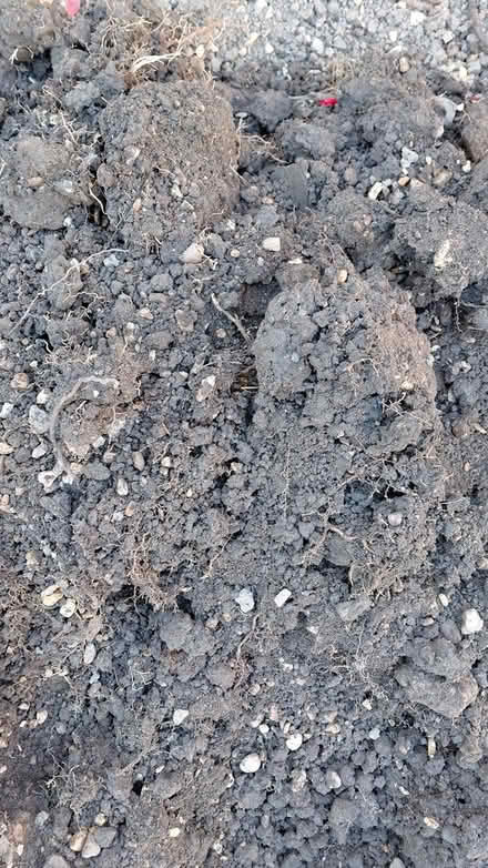 Photo of free Soil (Sheffield S12) #2