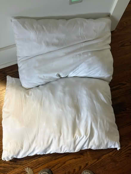 Photo of free 2 pillows (Near Pen Park) #1